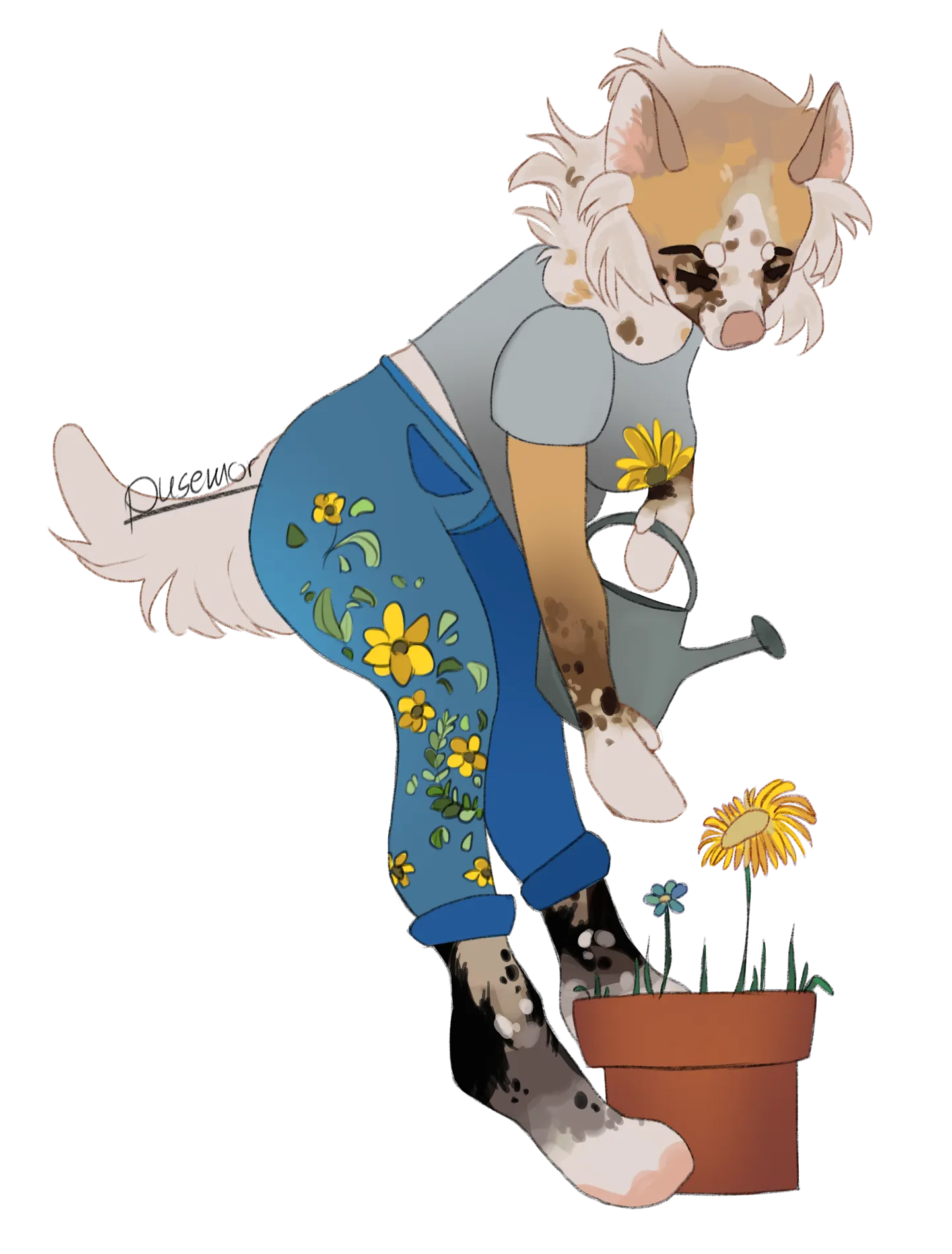 a short description of the image for accessibility purposes