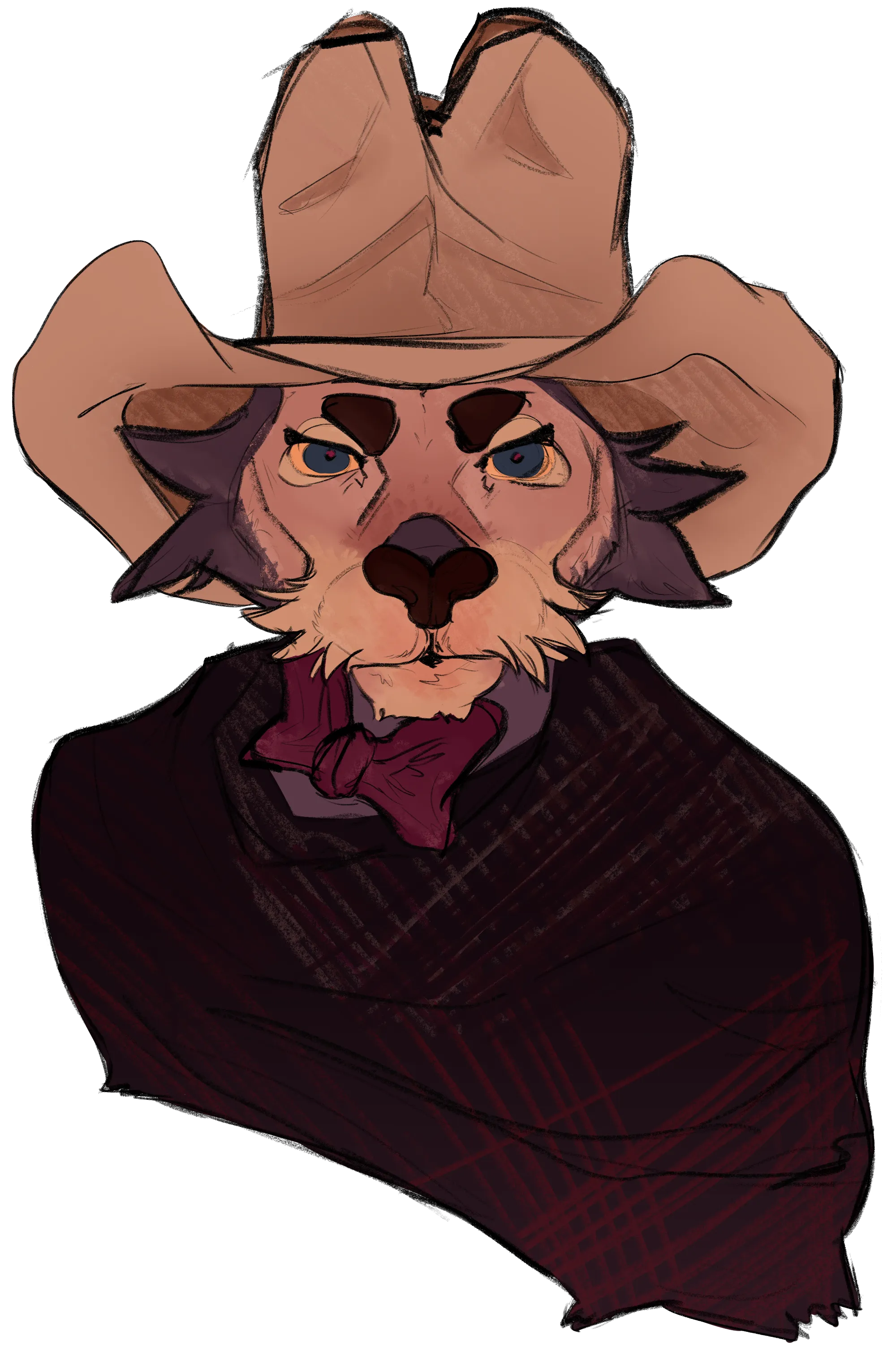 a short description of the image for accessibility purposes