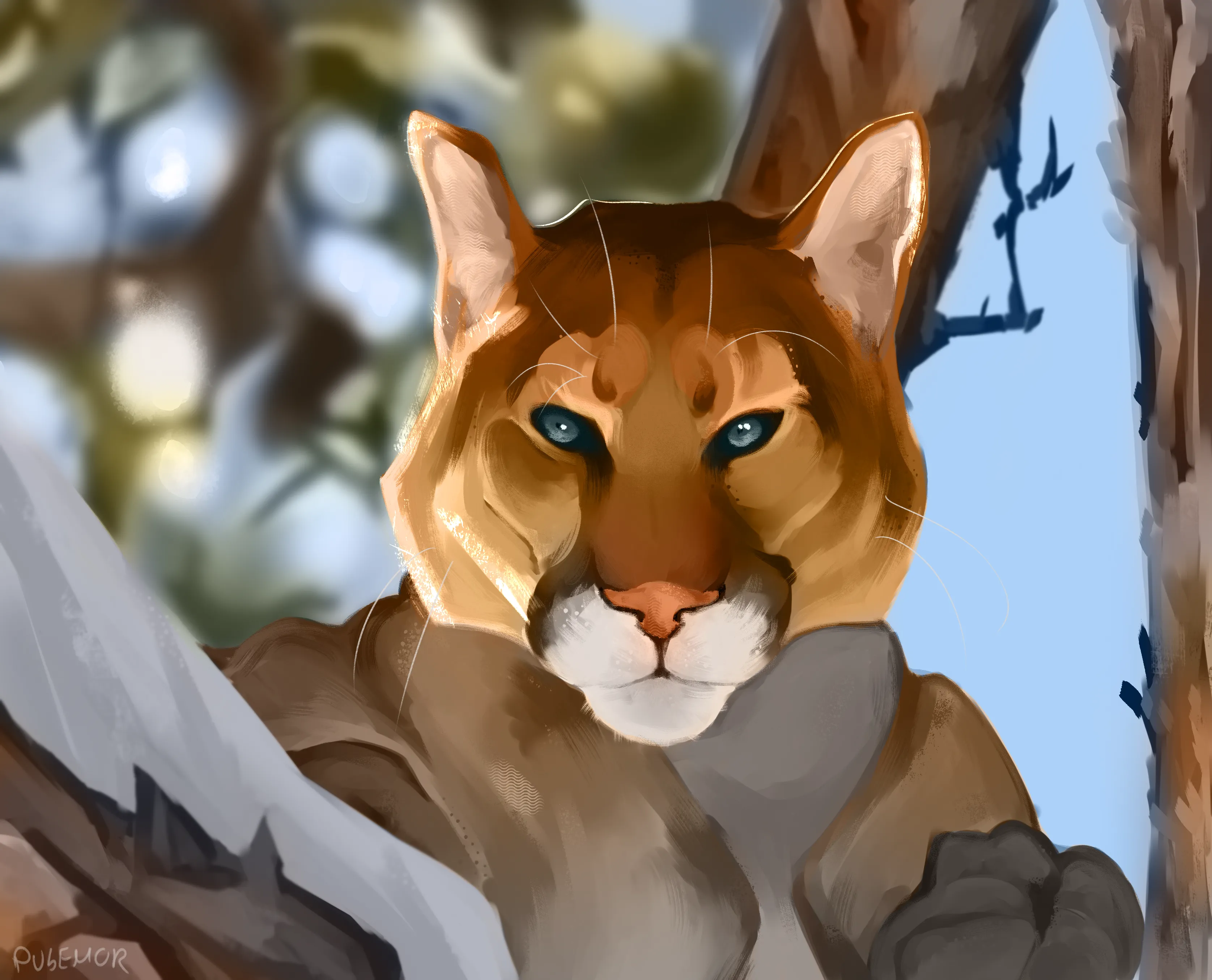 a short description of the image for accessibility purposes