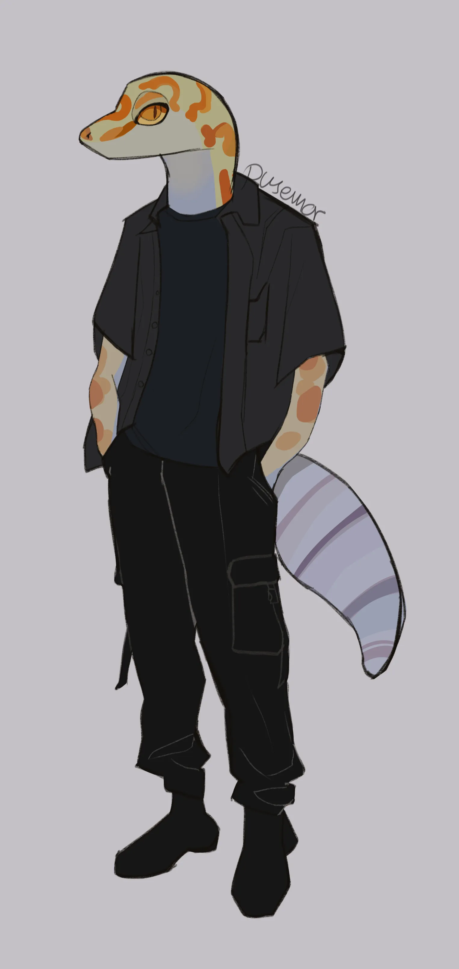 a short description of the image for accessibility purposes