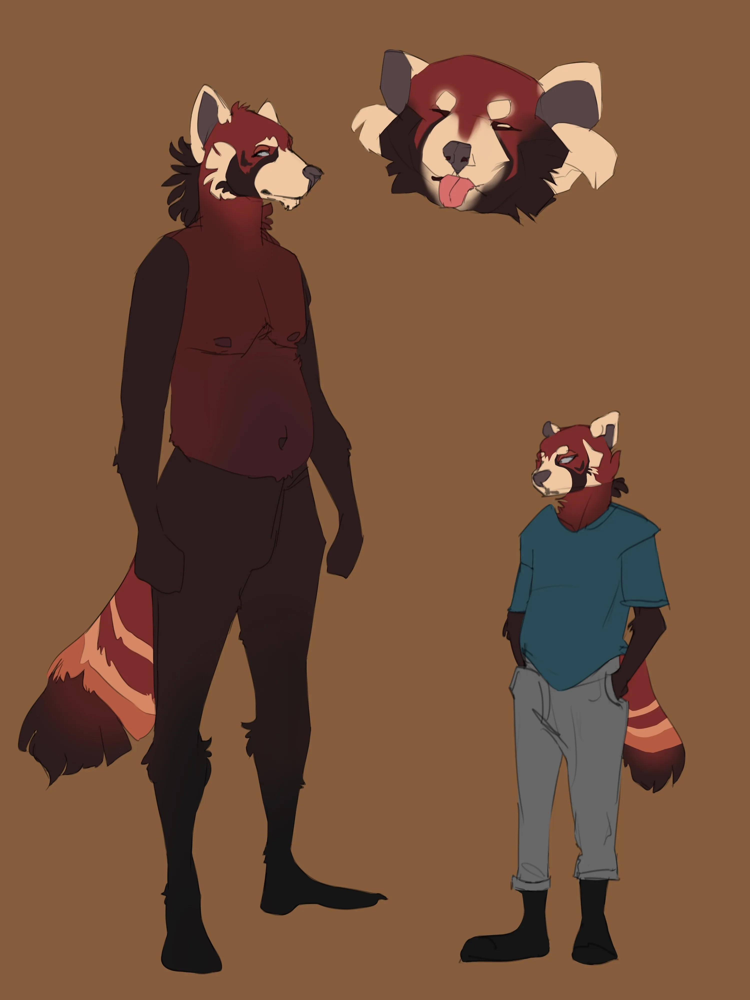 a short description of the image for accessibility purposes